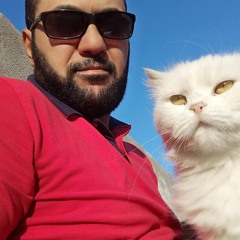 حمزة نمرة / دارى ياقلبي بدون ايقاع