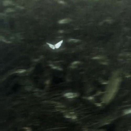 losing interest // sped up