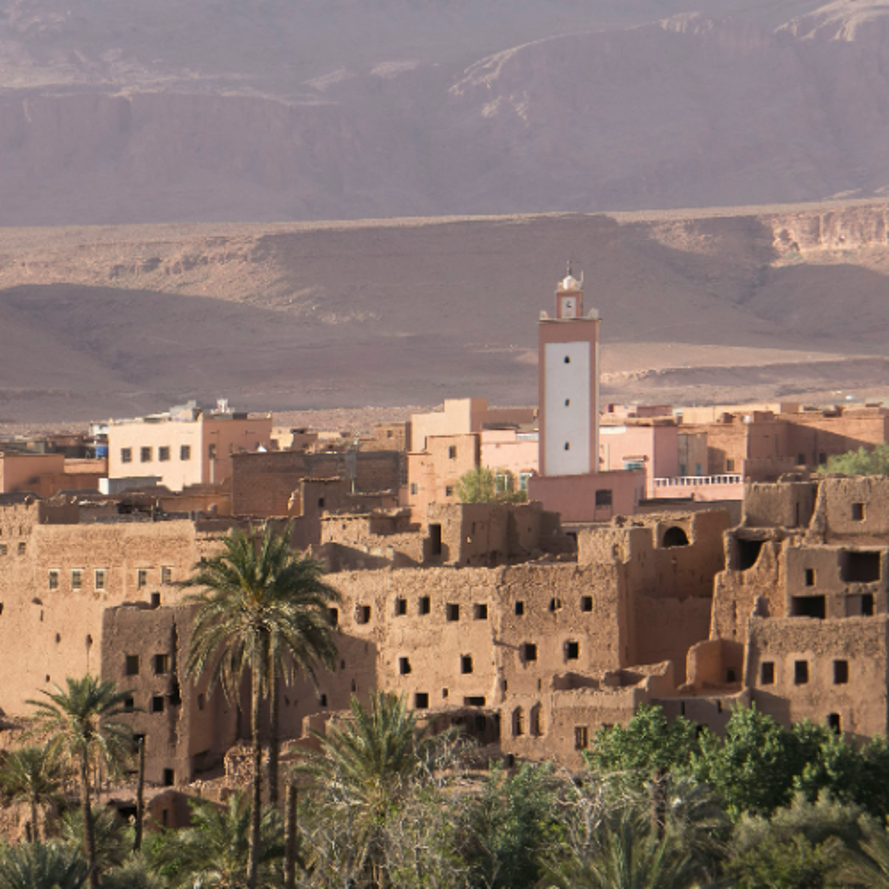 buzz_251224_Odeliya-Matter