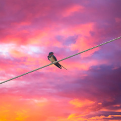 Equilibrando el Borde