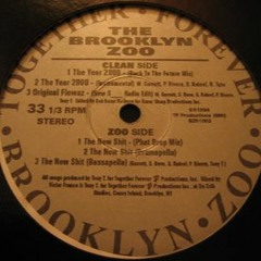 The Brooklyn Zoo ‎– The Year 2000 (1994)