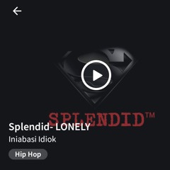 Splendid- Lonely.m4a
