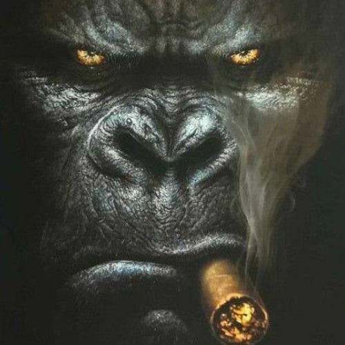Gtrem - "Armadilha de gorila (Feat Nflykong)