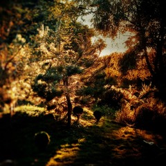 As The Wind