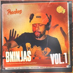 Vol1_BNinjas