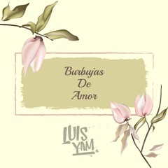 Burbujas de amor