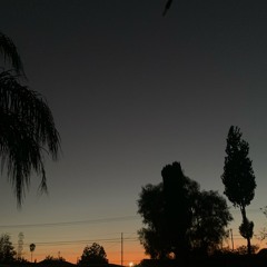 prodmunny - thoughts