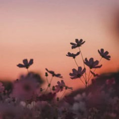 Ari Abdul - Dreams (slowed - reverd)