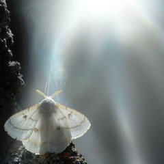 LILDRUGHILL - my fault *snippet 19.09.25