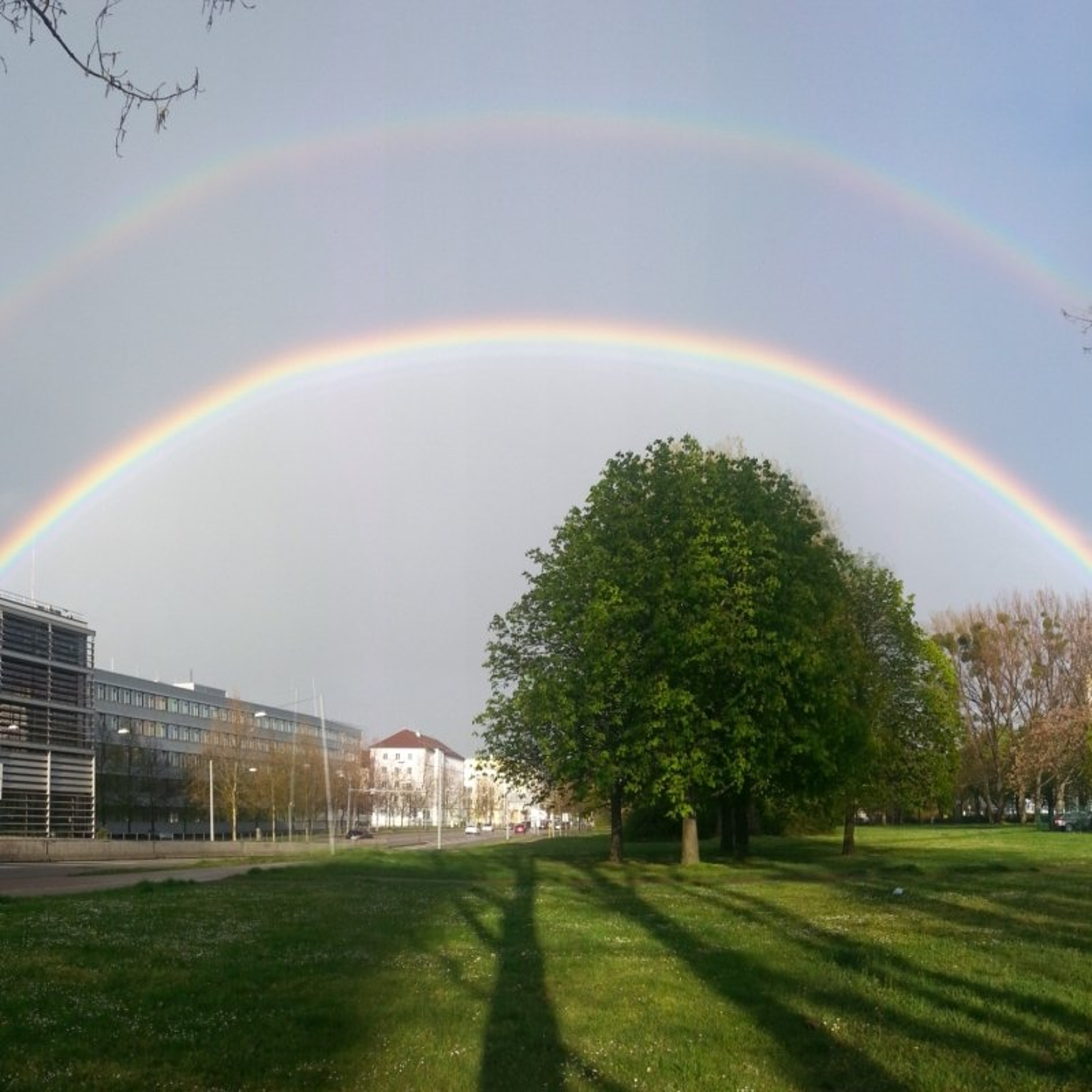 Regenbogenfahne in aller Munde – Herkunft des Symbols episode artwork