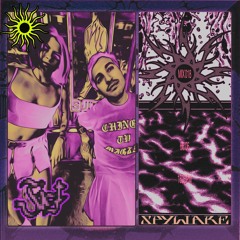 FIST MIX 18 - Spyware