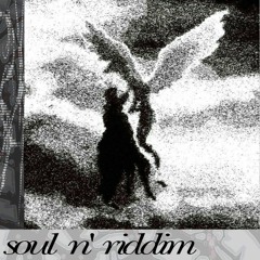 soul n' riddim