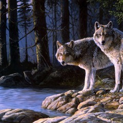##WolfDayFreestyle! (prod.jaccsxn)