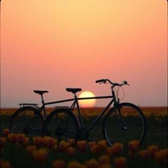 Orange Skies