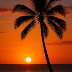 Afrohouse Live Set Summer (Unreleassed) -DjSlayy