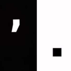 Yin & Yang - Tally Hall