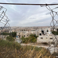 CLIP: Occupation restricts 'thoughts, plans, aspirations, vision' - Mayor of Ramallah in the OPT