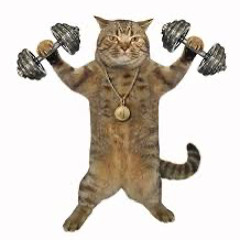 TechnoGYM Vol.III (160BPM) - FREE DOWNLOAD