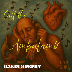 Call the Ambulamb snippets