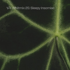 WHiTMIX #25 | Sleepy Insomniac