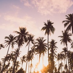 Miami Baby! (Part 1)