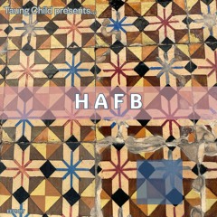 Whimsical Path -featuring kgmr, Fernando Azeredo, The Halfass Family Band