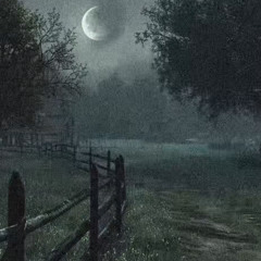 silent (48hrs)