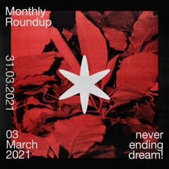 Monthly Roundup (03) - March 2021