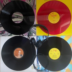 The Style Is Wild (Vinyl Only: House, Techno & Italo Disco)