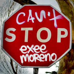 Can't Stop - RHCP (Exee Moreno Remix)