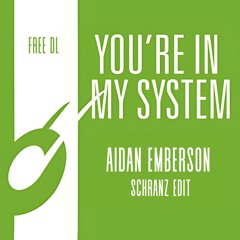 YOU'RE IN MY SYSTEM (SCHRANZ EDIT)