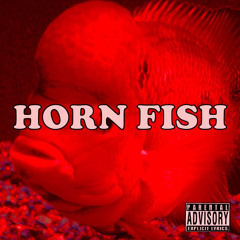Horn Fish