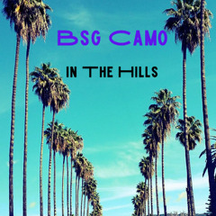 Bsg Camo - In The Hills