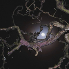 Sovereignty // robbin me (Prod. tit1&h0laperdedores)   @luvvtro // @luvtroarchive