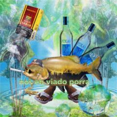 Frutiger Rock Doido (TECNOMELODY/ROCK DOIDO)