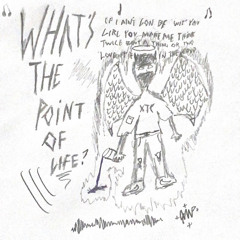 what's the point of life?