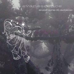 Sulfüre X Adèle - Évanescence