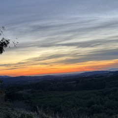 LMIYH (Let Me In Your Heart)