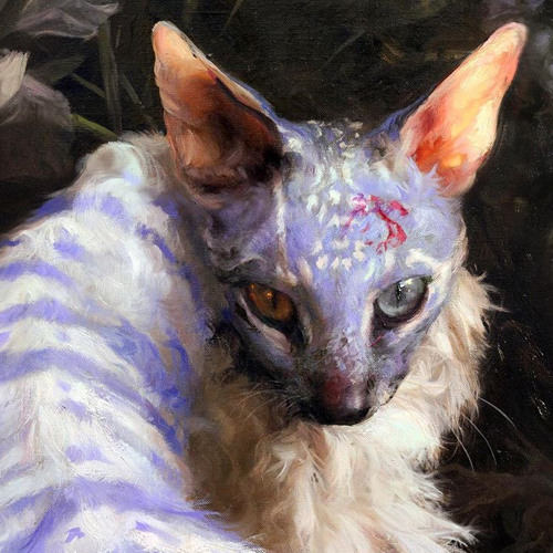 nosecomoponerle - lenguadegvto x Fvsito  (prod. akatsuki x curtiz 57)