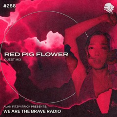 We Are The Brave Radio 288 - Red Pig Flower (Guest Mix)