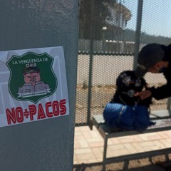 en camino pedregoso no se descarta retroceder [gato - javomito]