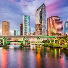 TAMPA (WhyUpset)