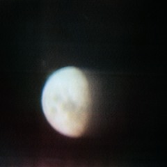 Moonlight