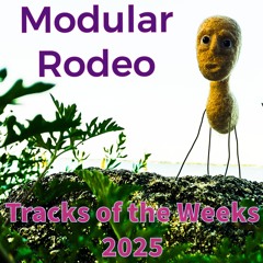 Modular Rodeo Tracks of the Weeks 2025