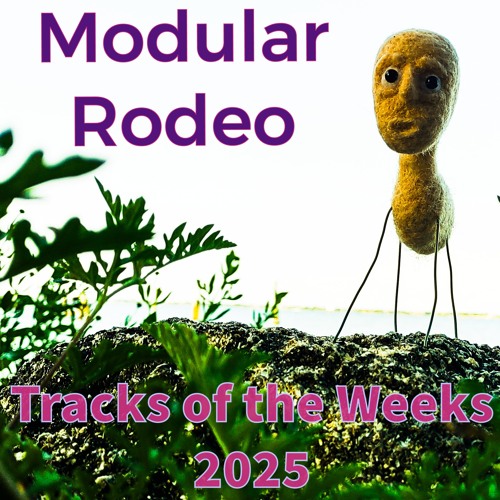 Tracks of the Weeks 2025