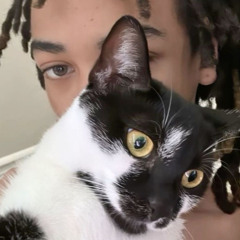 Che - On My Collar