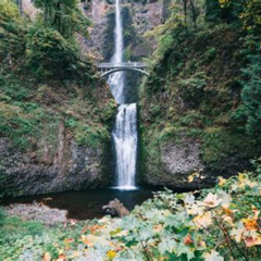 Review Special Price Mt Hood Day Trip From Portland To Multnomah Falls And Hood River