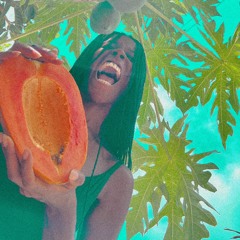 DISCO PAPAYA SET - LIVE CASA NFT TULUM