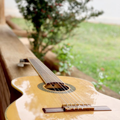 Sobretudo sobre nada (guia original) Diego e Victo Hugo