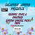 Artwork for (Reggae, Soca & Chutney) : Spring Special Mix 2024